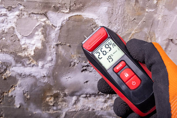 Best Mold Removal Company Near Me  in Liberty, KY