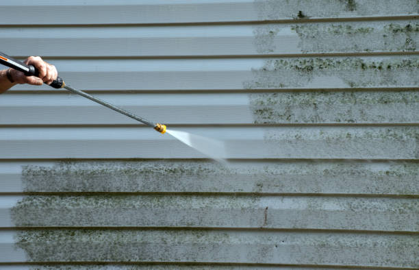 Mold Removal and Inspection in Liberty, KY