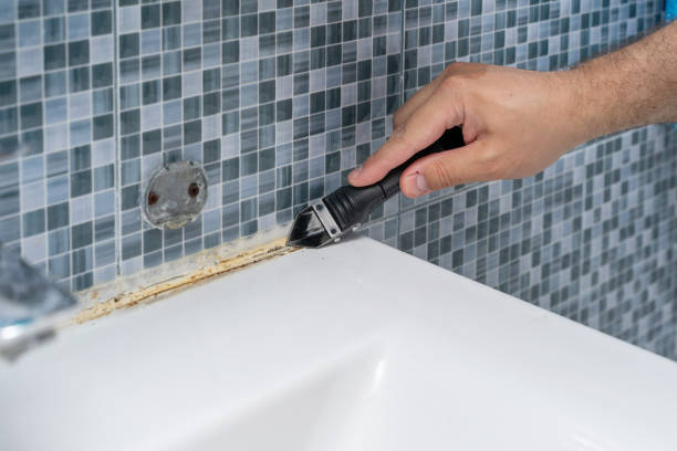 Professional Mold Removal in Liberty, KY