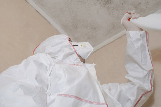 Best Mold Remediation Services  in Liberty, KY