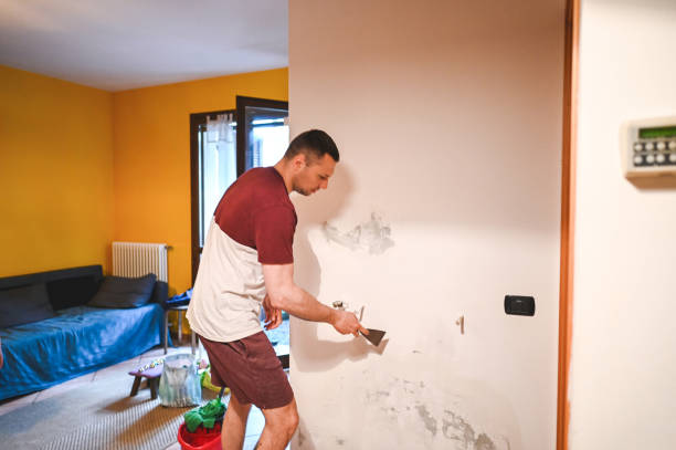 Best Black Mold Removal  in Liberty, KY
